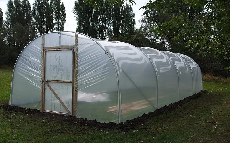 Read more about the article How To Build A Top DIY Backyard Greenhouse