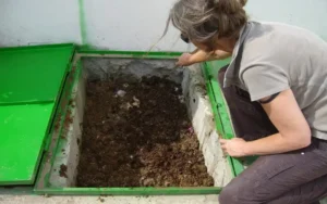 How To Make The best Home Composting System 4 Read more about the article How To Make The best Home Composting System