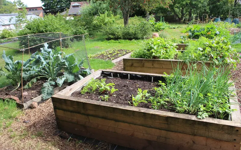 Read more about the article How To Design And Build Beautiful Raised Garden Beds
