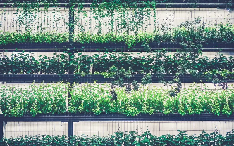 Read more about the article How to Build a Vertical Garden for Small Spaces