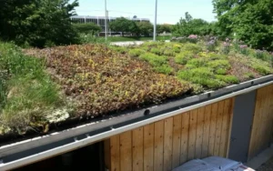 How To Make A Beautiful Green Roof Construction 3 Read more about the article How To Make A Beautiful Green Roof Construction