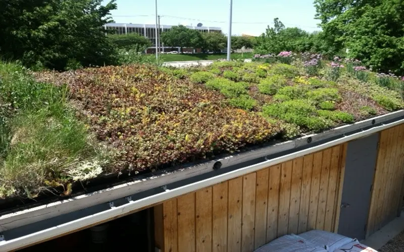 Read more about the article How To Make A Beautiful Green Roof Construction