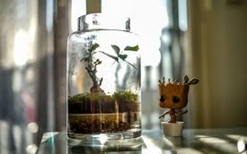 Read more about the article How to Design and Build a Mason Jar Herb Garden