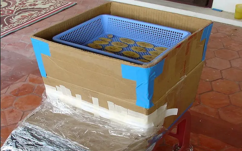 Read more about the article How To Make A DIY Solar Dehydrator for Food Preservation