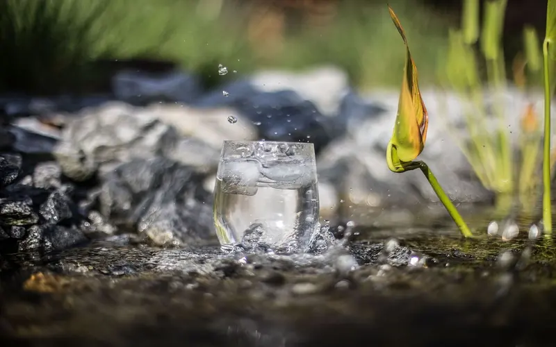 Read more about the article DIY Water Purifier for Off-Grid Living