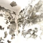 Hazardous Damp Patches on Internal Walls: A Total Nightmare