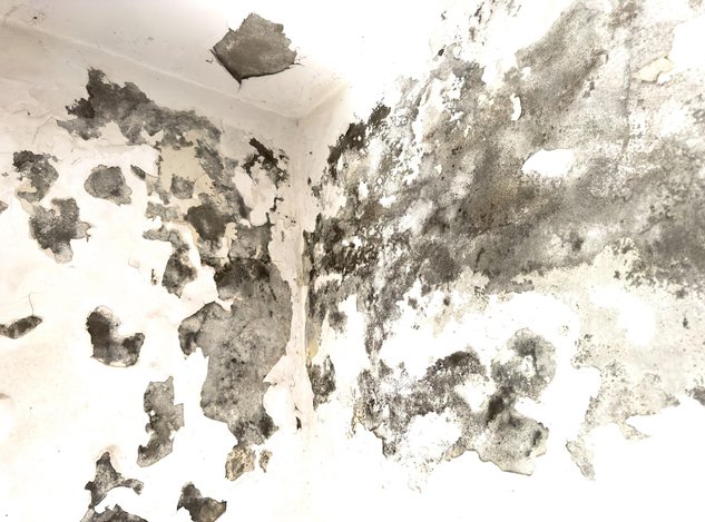 damp patches