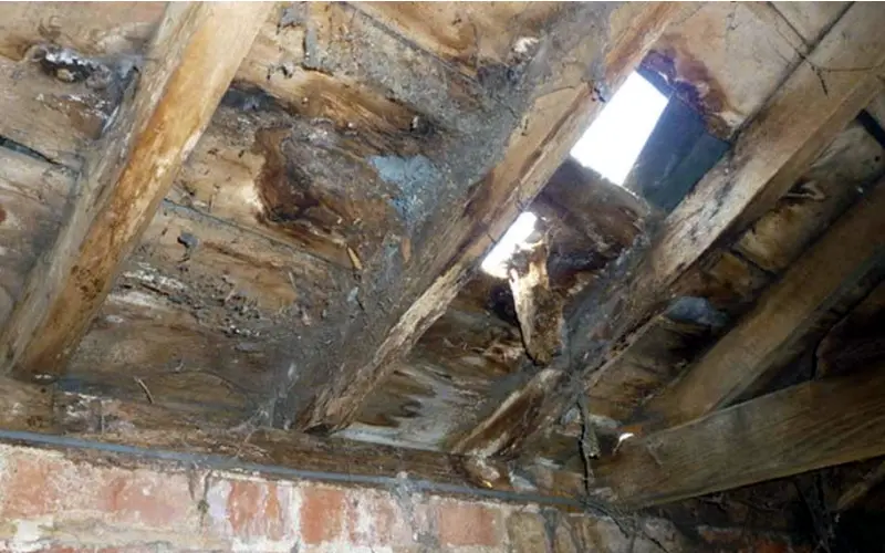 You are currently viewing Spray Foam Insulation Damage Danger