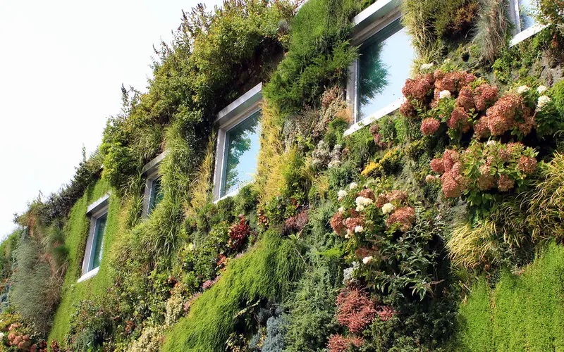living wall 1